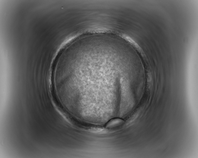 X0000086760582200704271732