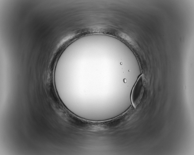 X0000086760583200704271732