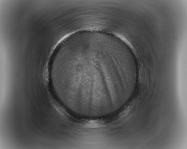 X0000086760584200704271732