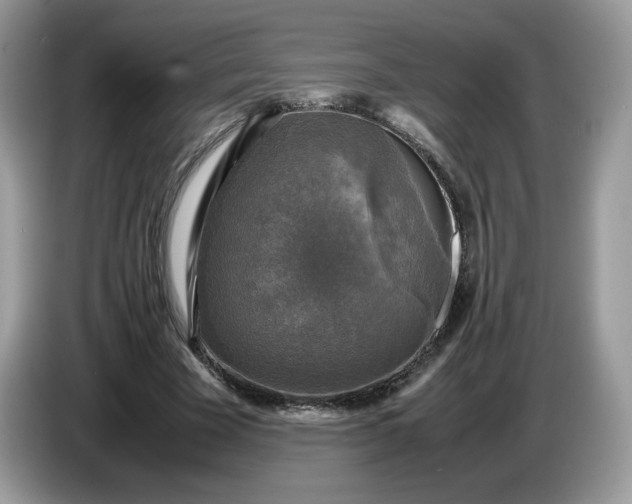 X0000086760585200704271732