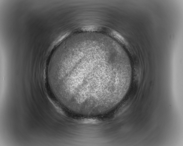 X0000086760586200704271732