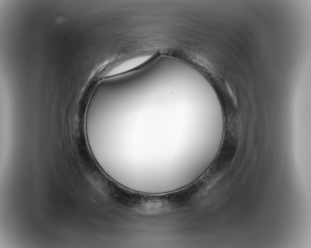 X0000086760587200704271732