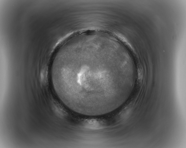 X0000086760588200704271732