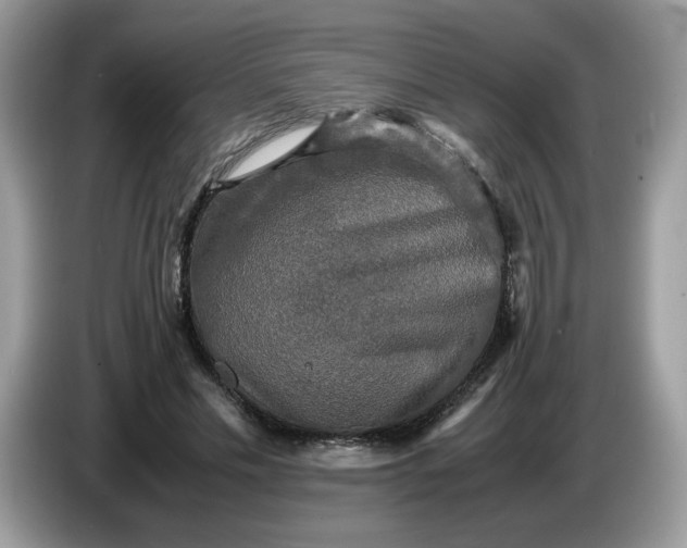 X0000086760589200704271732