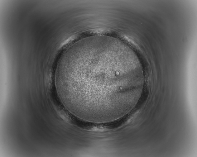 X0000086760591200704271732