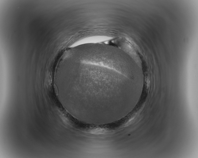 X0000086760593200704271732