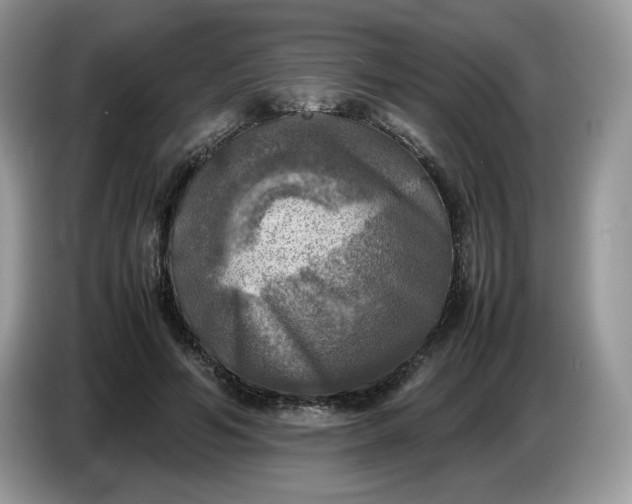 X0000086760594200704271732