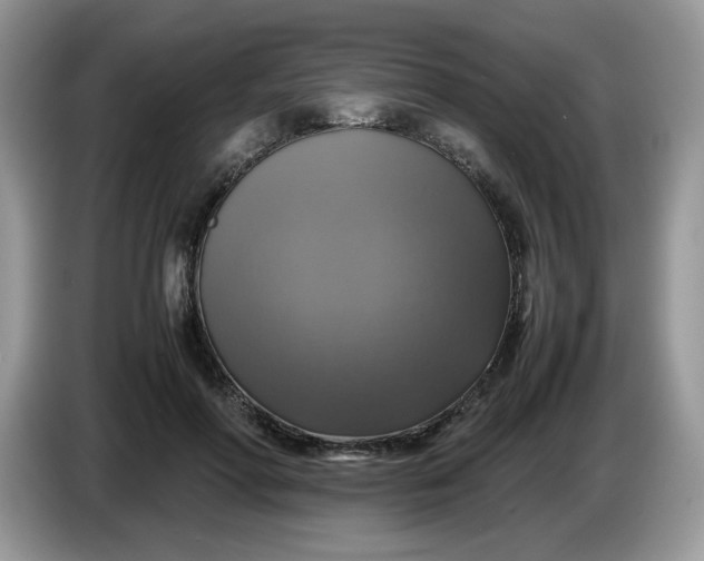 X0000086760598200704271732