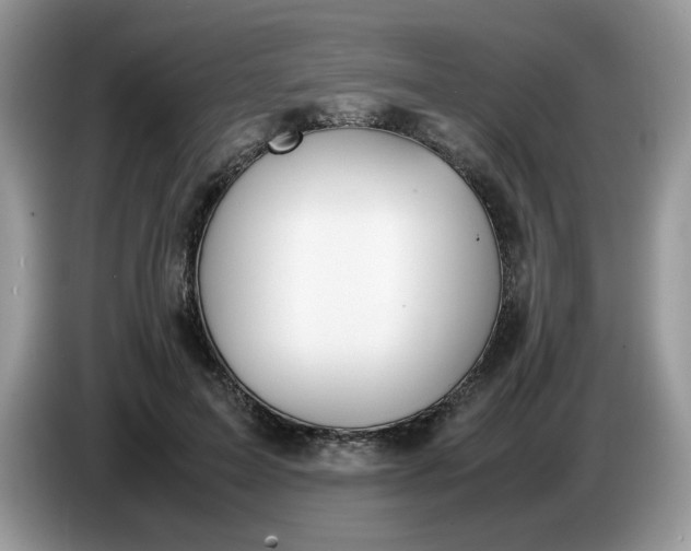 X0000086760599200704271732