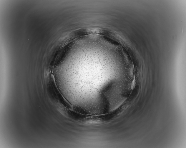 X0000086760601200704271732