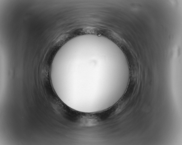 X0000086760603200704271732