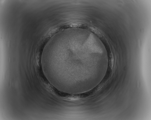 X0000086760604200704271732