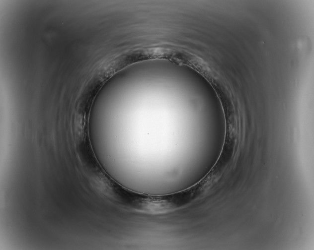 X0000086760605200704271732