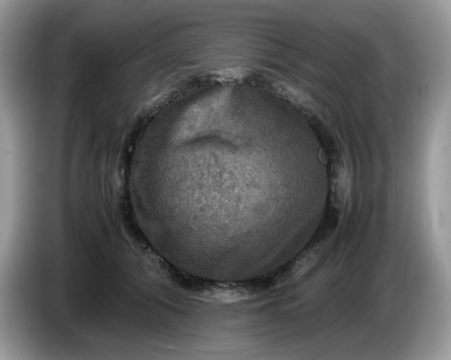 X0000086760608200704271731