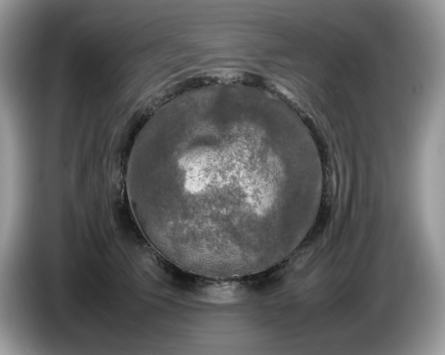 X0000086760609200704271731