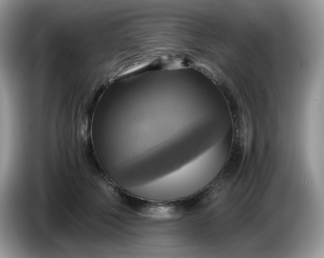 X0000086760610200704271731