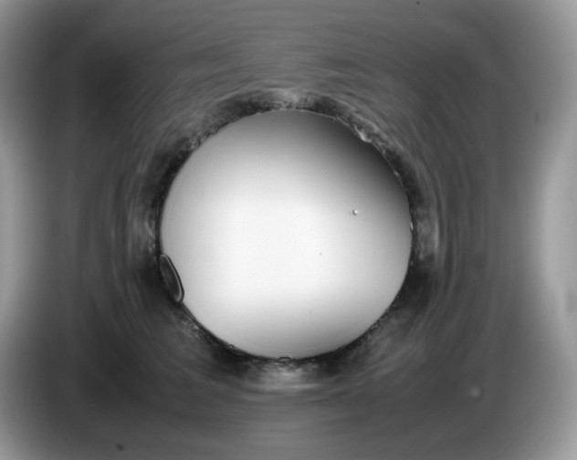 X0000086760613200704271731