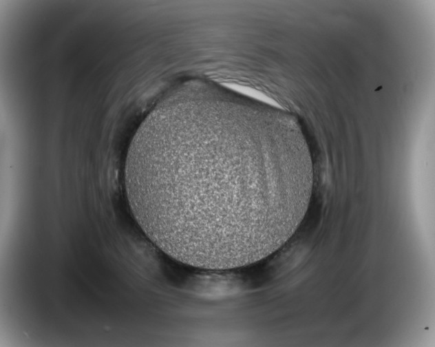 X0000086760615200704271731