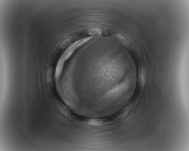 X0000086760616200704271731