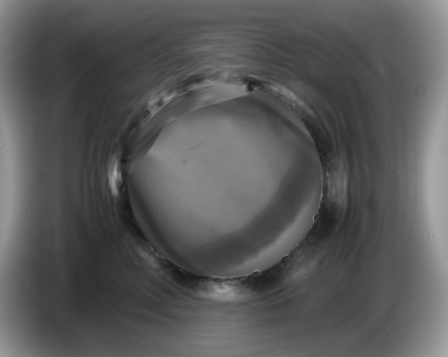 X0000086760618200704271731