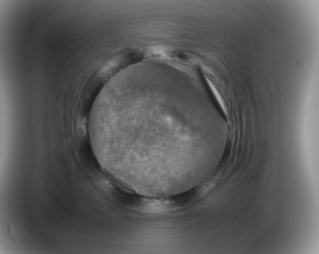 X0000086760621200704271731