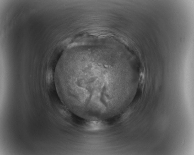 X0000086760623200704271731