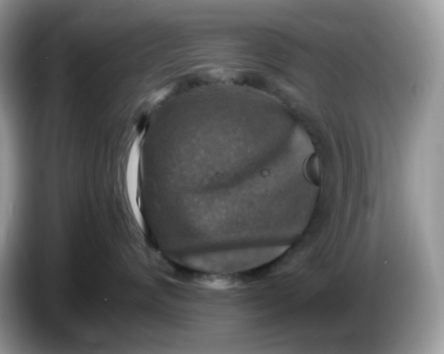 X0000086760624200704271731