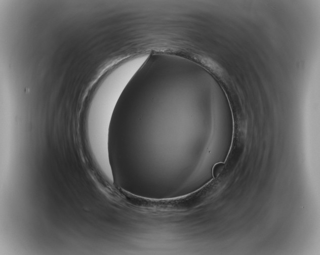 X0000086760626200704271731