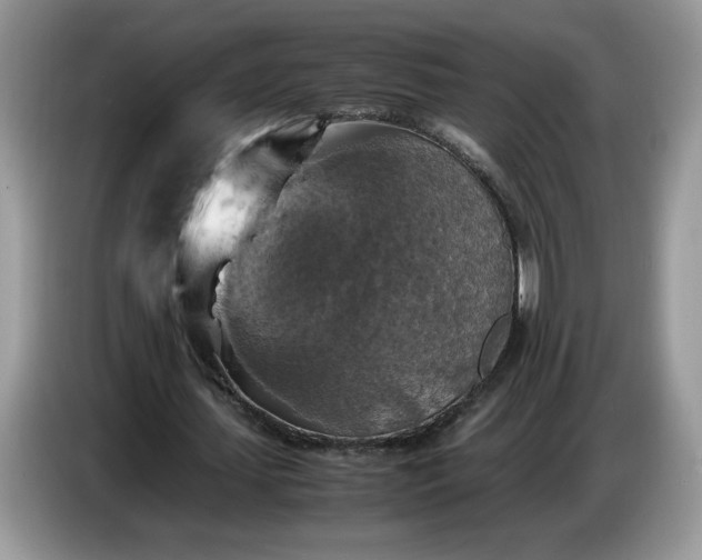 X0000086760627200704271731