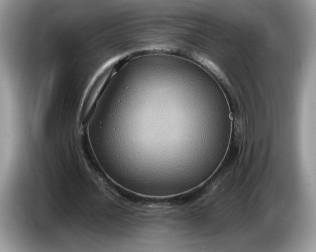 X0000086760628200704271731