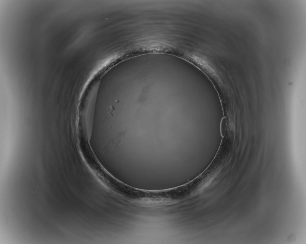 X0000086760630200704271731