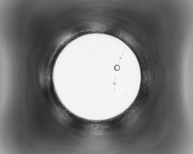 X0000086760632200704271731