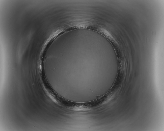 X0000086760634200704271731