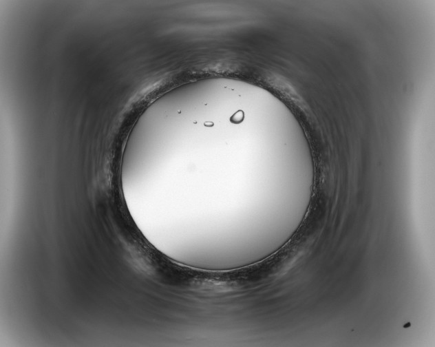 X0000086760635200704271731