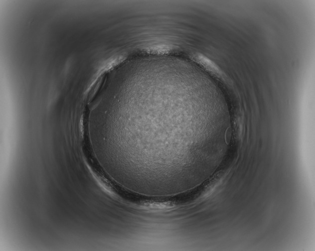 X0000086760638200704271731