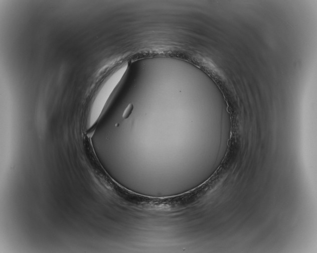 X0000086760640200704271731