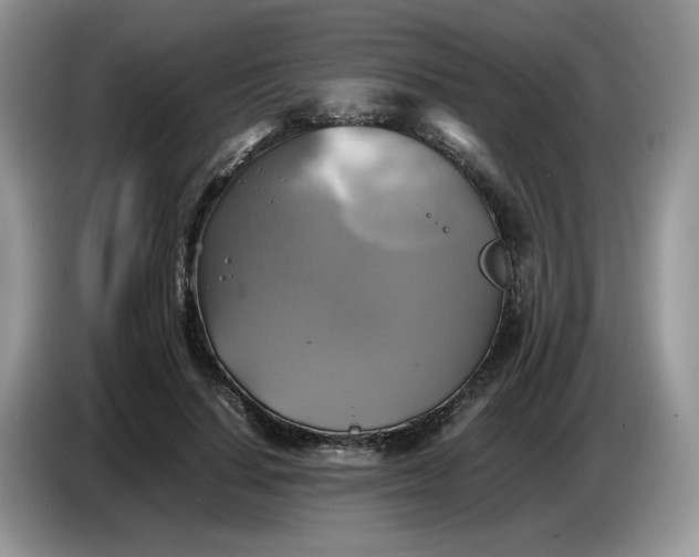 X0000086760644200704271731