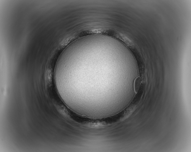 X0000086760646200704271731