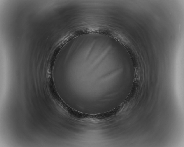 X0000086760648200704271731