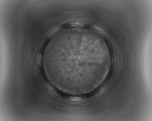 X0000086760649200704271731