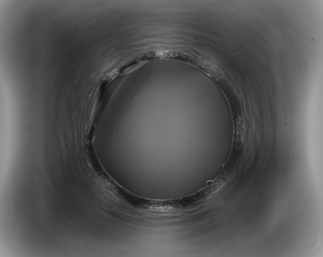 X0000086760650200704271731