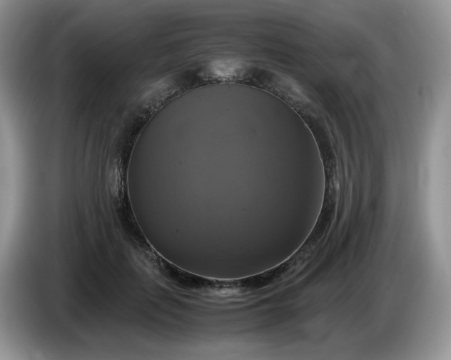 X0000086760651200704271731