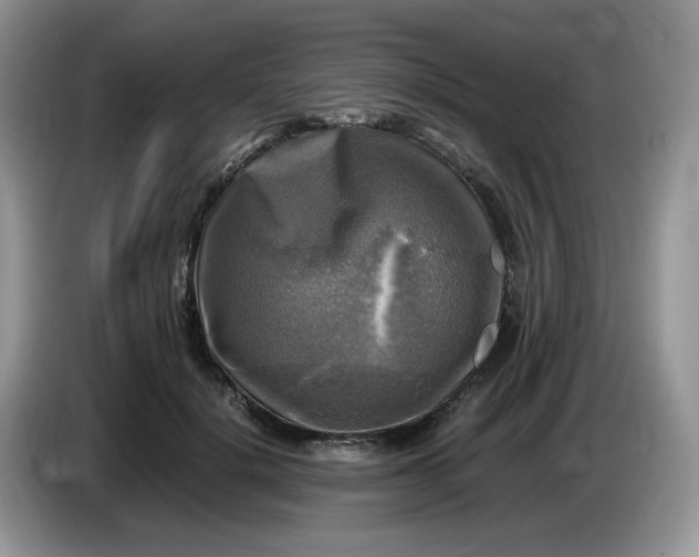 X0000086760652200704271731