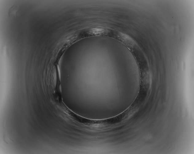 X0000086760653200704271731