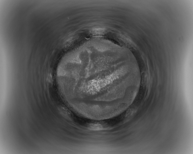 X0000086760655200704271731