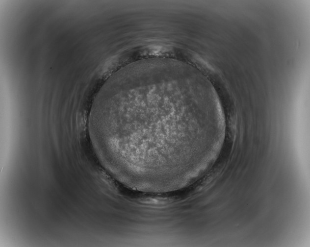 X0000086760657200704271731