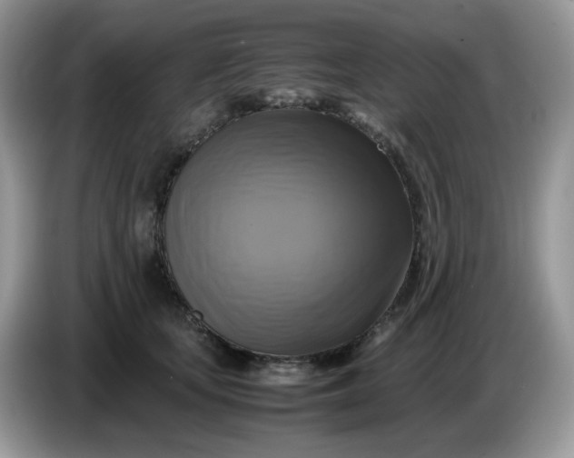 X0000086760659200704271731