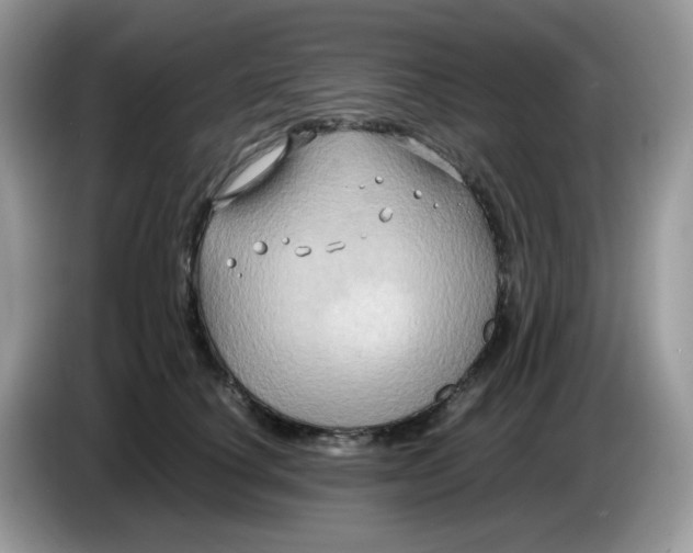 X0000086760660200704271731