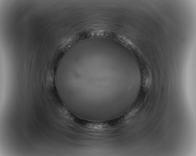 X0000086760661200704271731