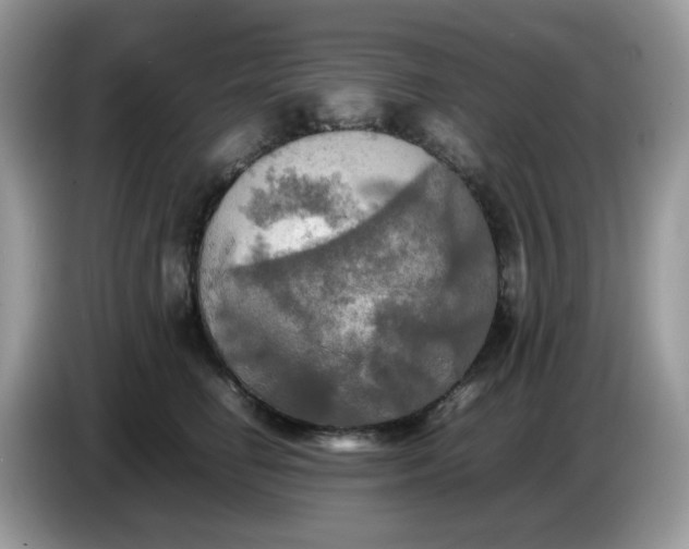 X0000086760662200704271731